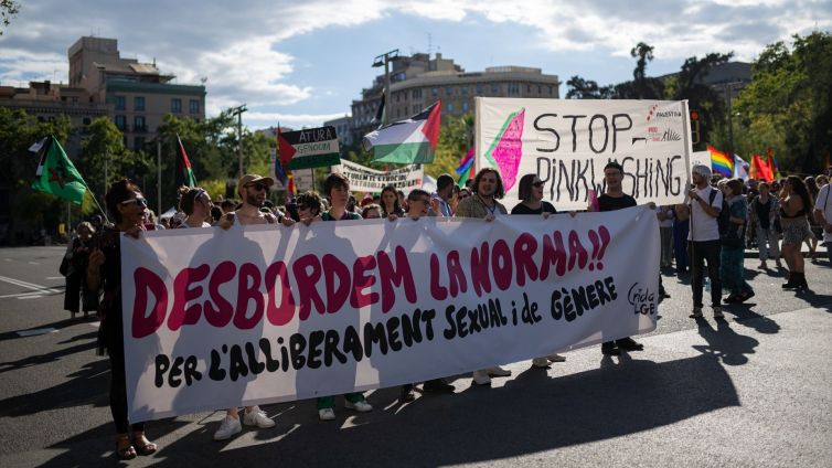 Els manifestants han sortit al carrer per reclamar drets LGTBI amb el lema "desbordem la norma"