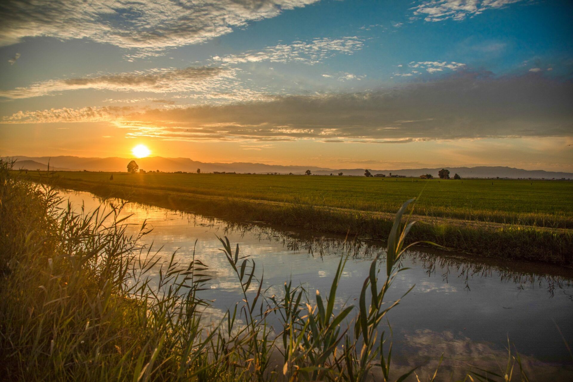 El Delta de l'Ebre