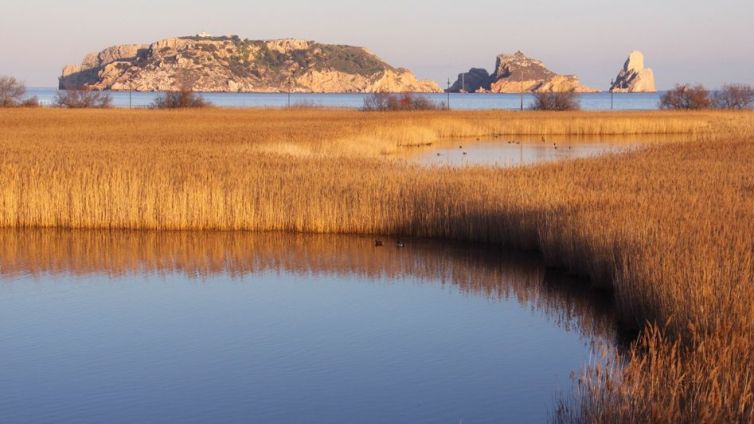 Parc natural del Montgrí, Illes Medes i Baix Ter