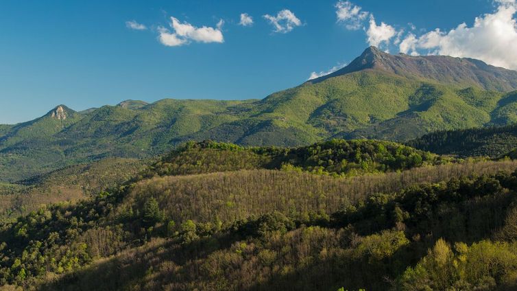 Parc natural del Montseny