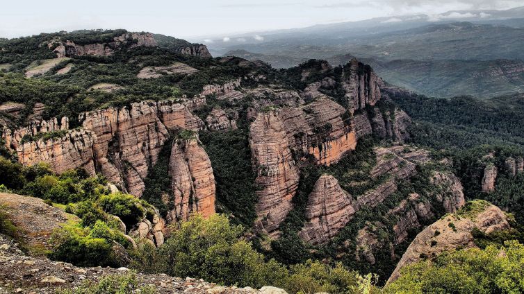 Parc Natural de Sant Llorenç del Munt i l'Obac