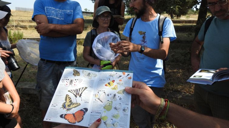 Voluntaris de l'Observatori Metropolità de Papallones, un projecte de ciència ciutadana de seguiment de la biodiversitat