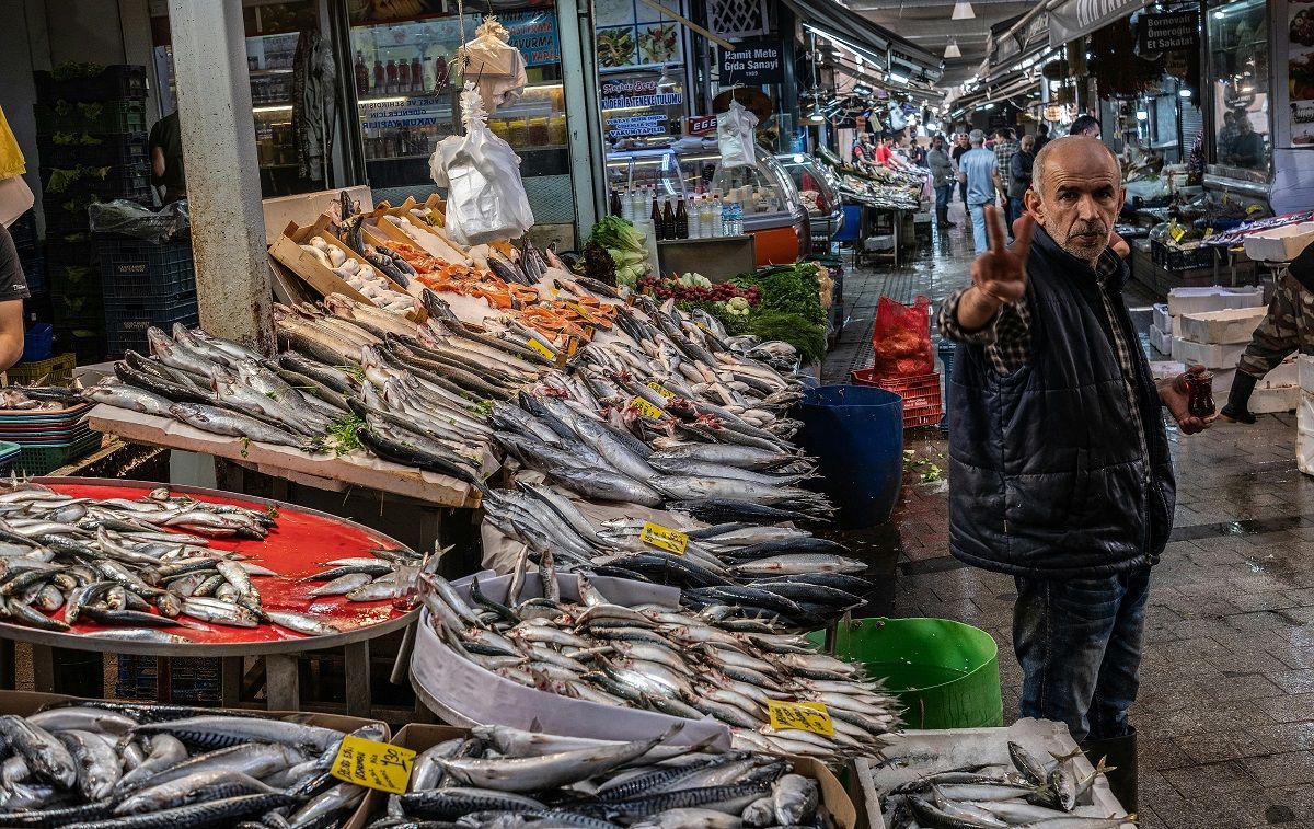 Diferents tipus de peix en un mercat