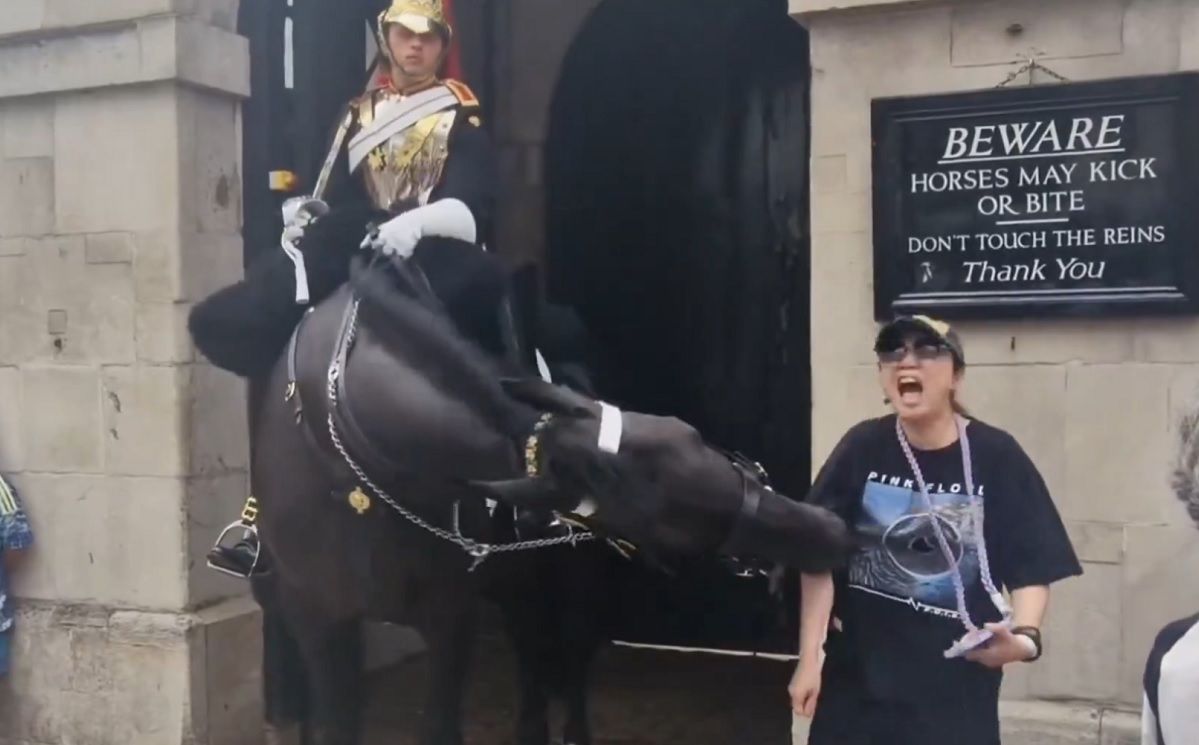 Un cavall de la guàrdia reial britànica mossega una turista