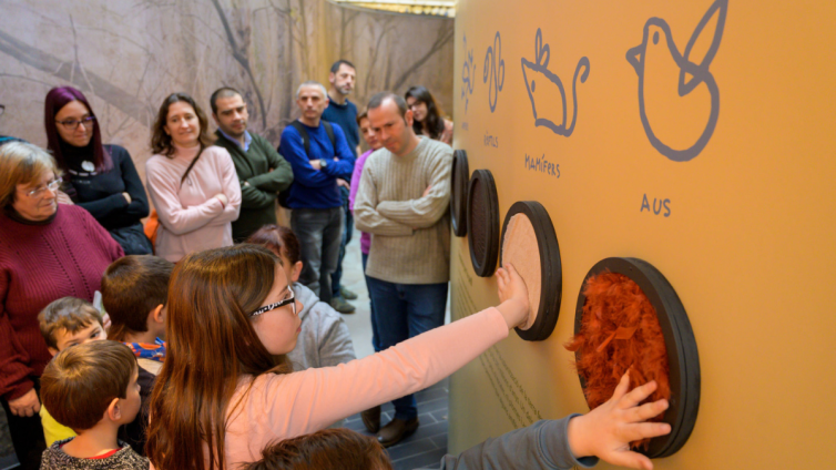 La Tela, un espai pensat per als més petits. Foto: Ajuntament de Granollers