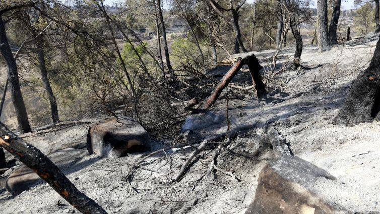 bombers incendi ciutadilla anna berga urgell nacio (2)