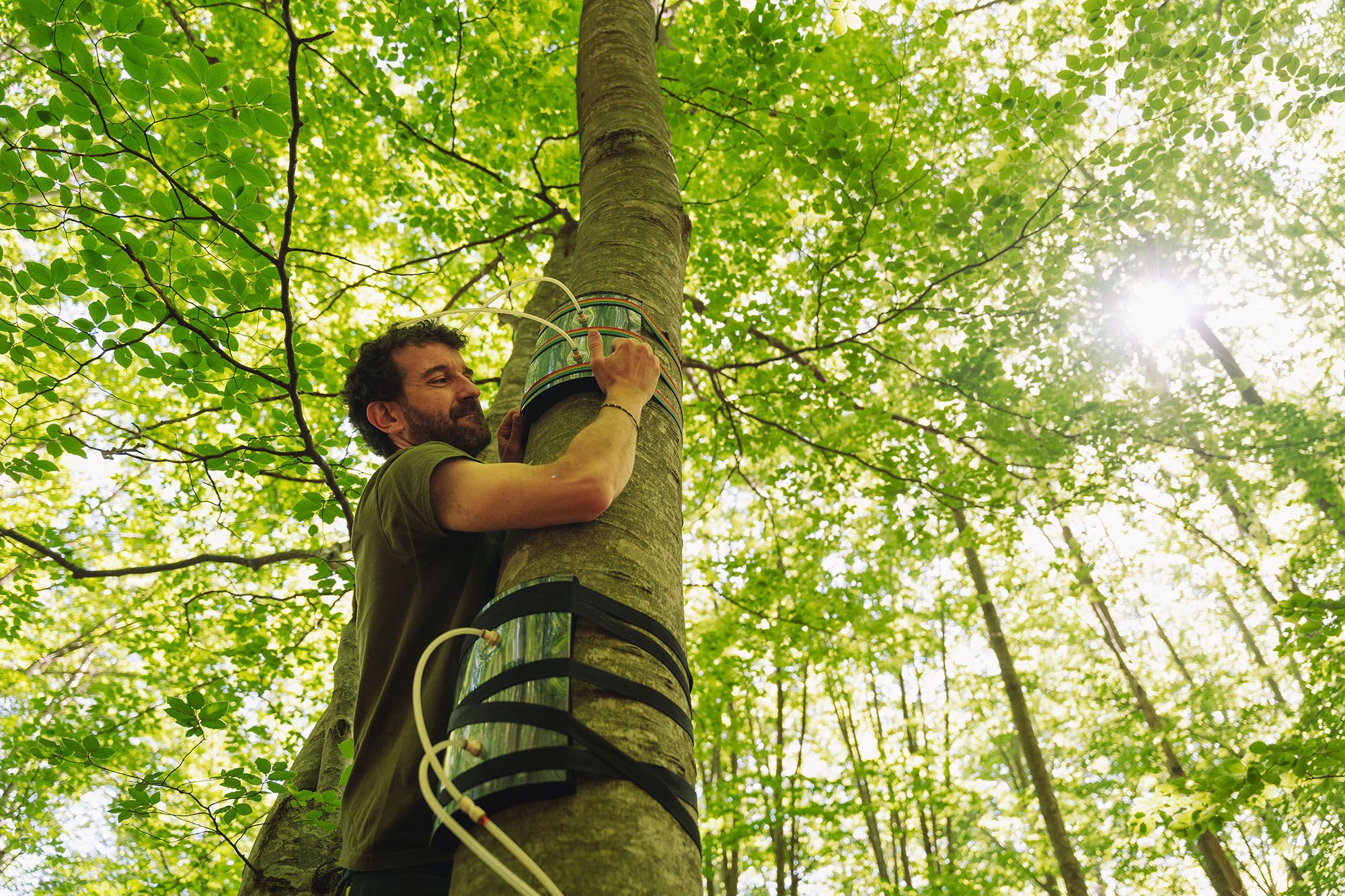 Josep Barba realitzant proves de captació de metà en una fageda del Montseny