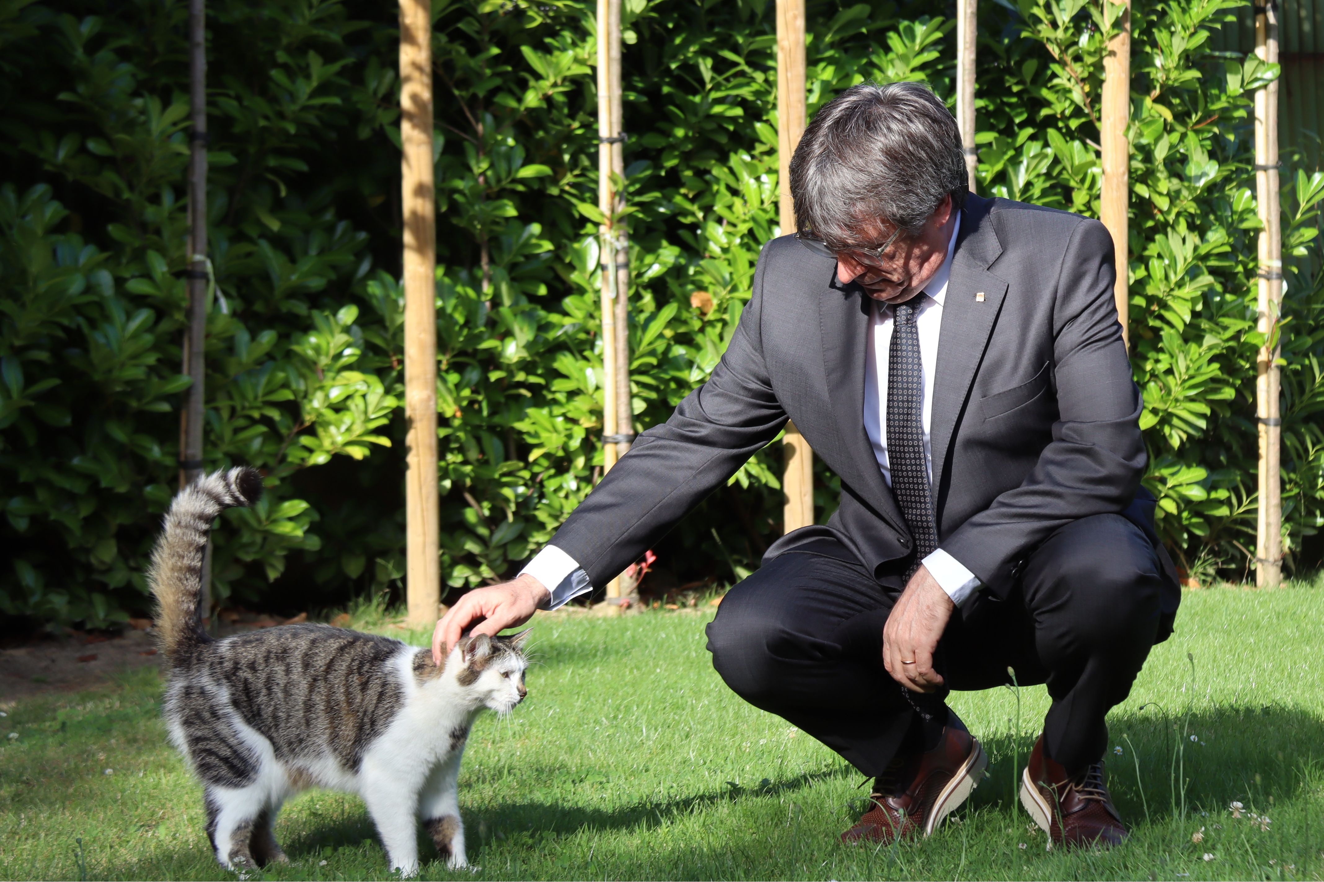 Carles Puigdemont, a Waterloo, després del seu retorn a Catalunya