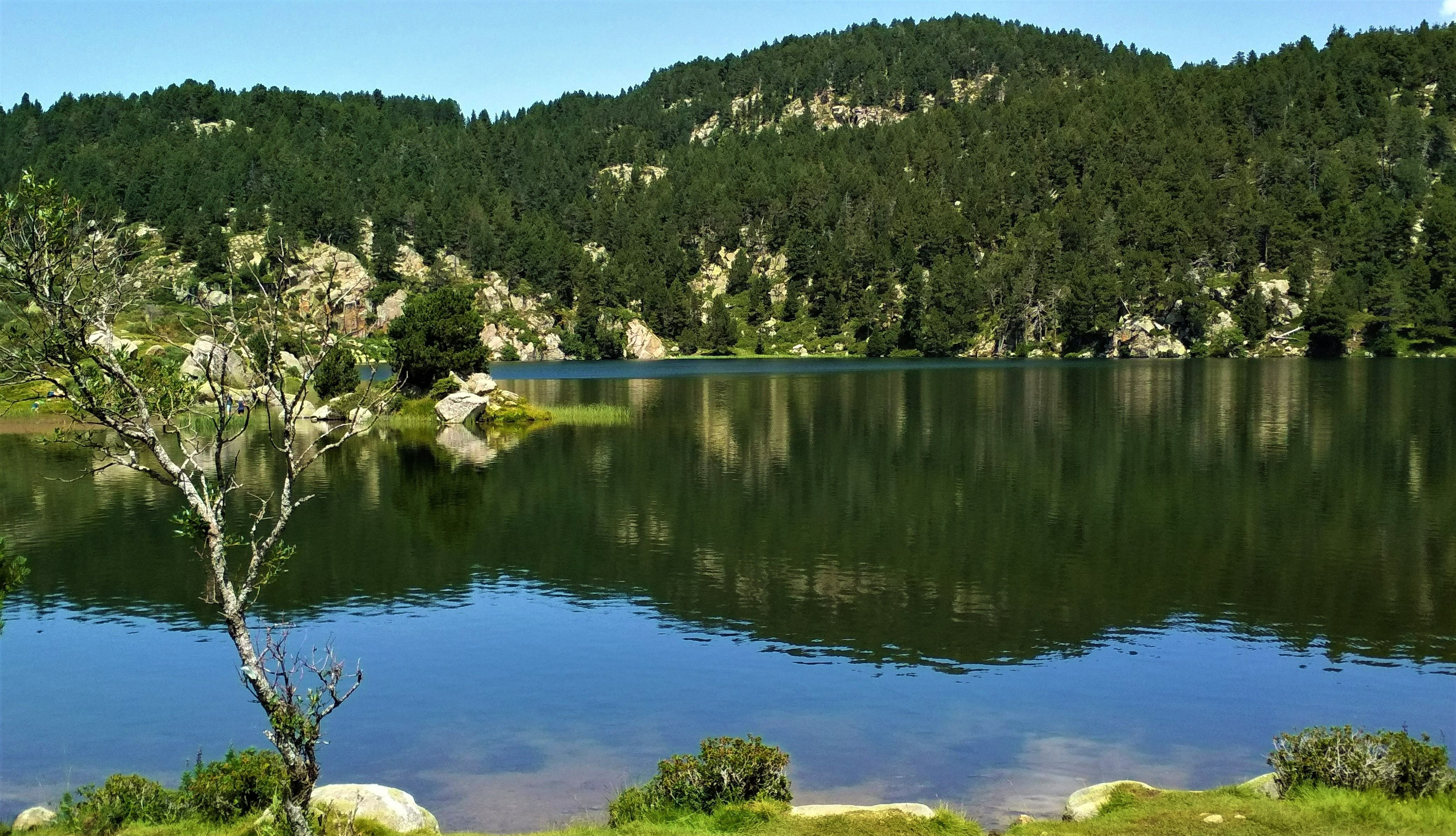 La natura és una constant, a l'Alta Cerdanya