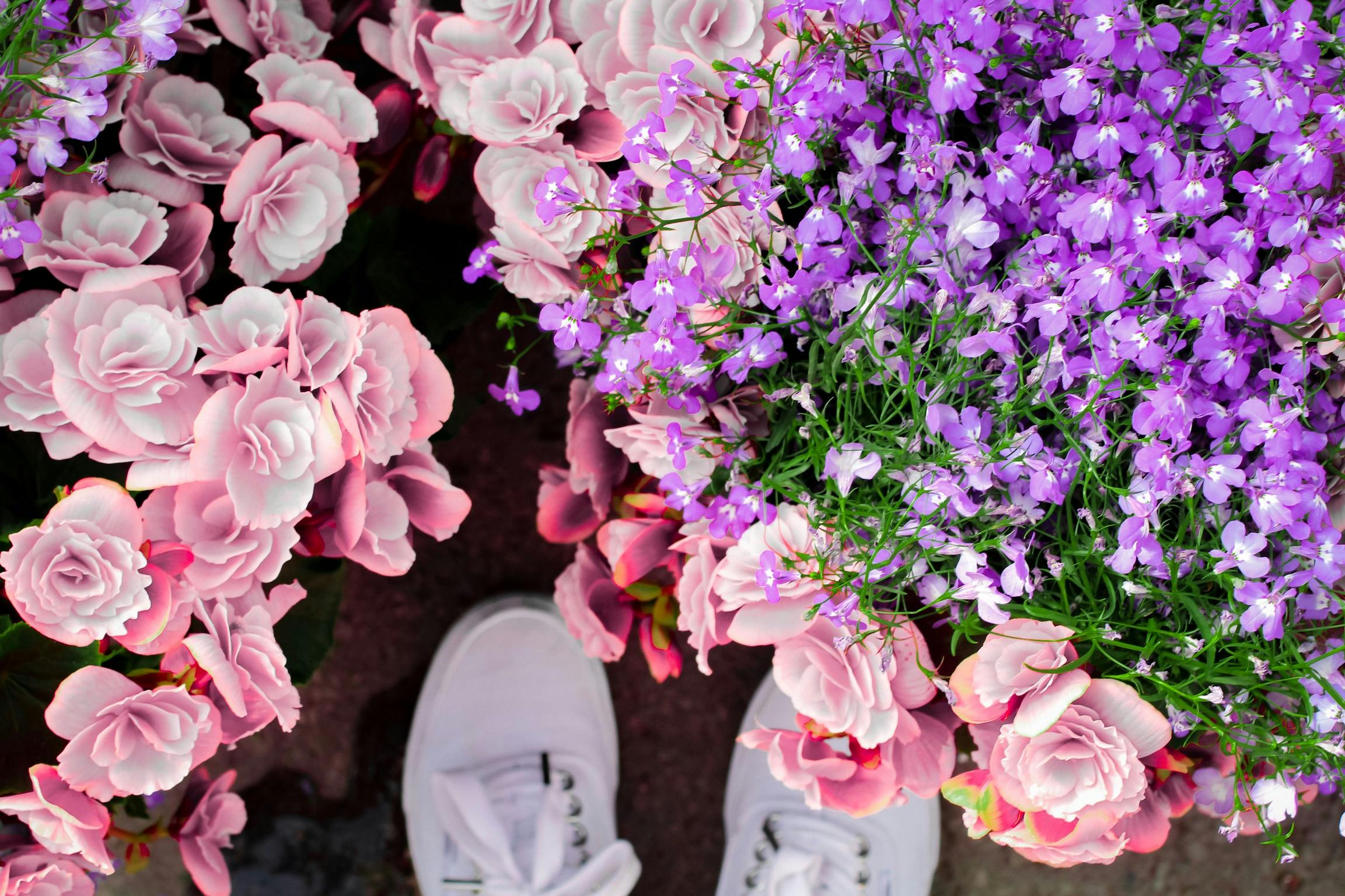 Discrimnació lingüística en una floristeria de Barcelona