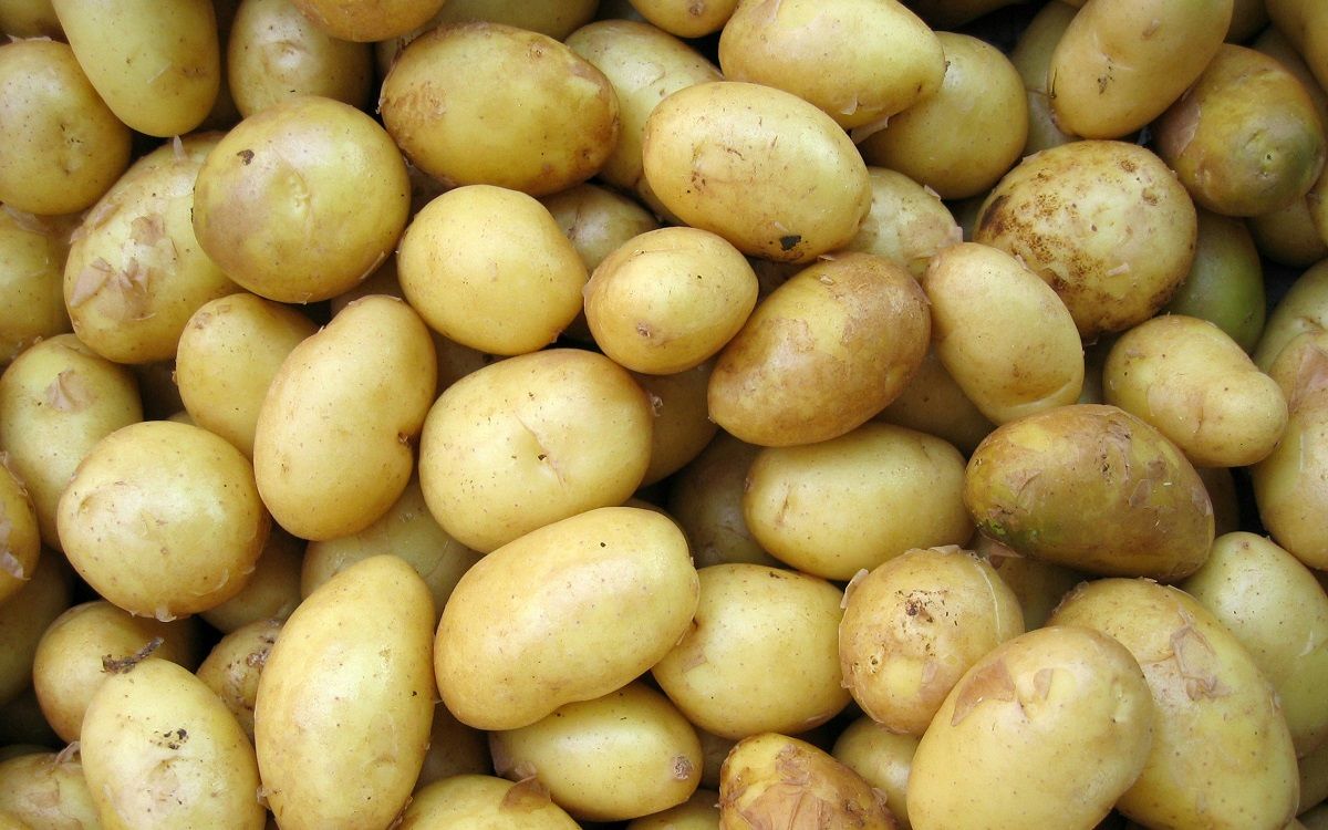 Conservar bé les patates és clau