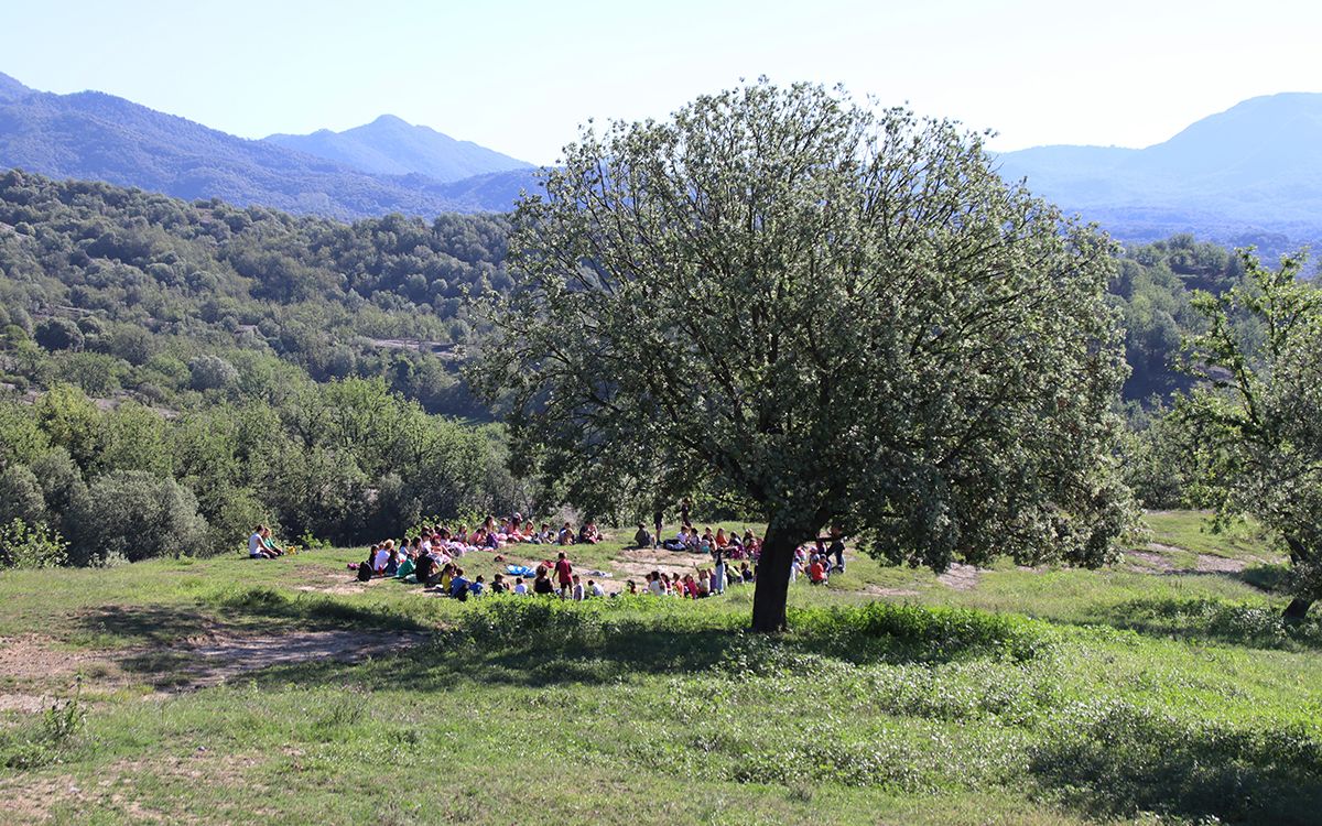 escola lluis xandri sant pere torello pedregada agost 2024 inici curs laura busquets acn nacio osona2