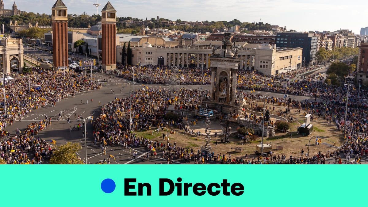 Segueix la Diada 2024 en directe