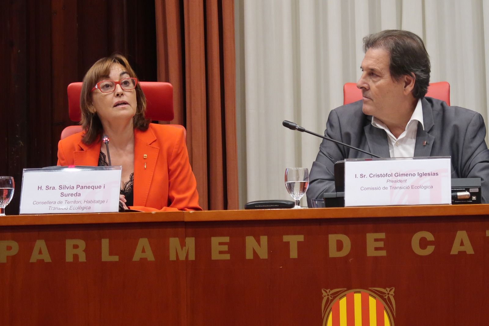 Sílvia Paneque, aquest dimecres al Parlament