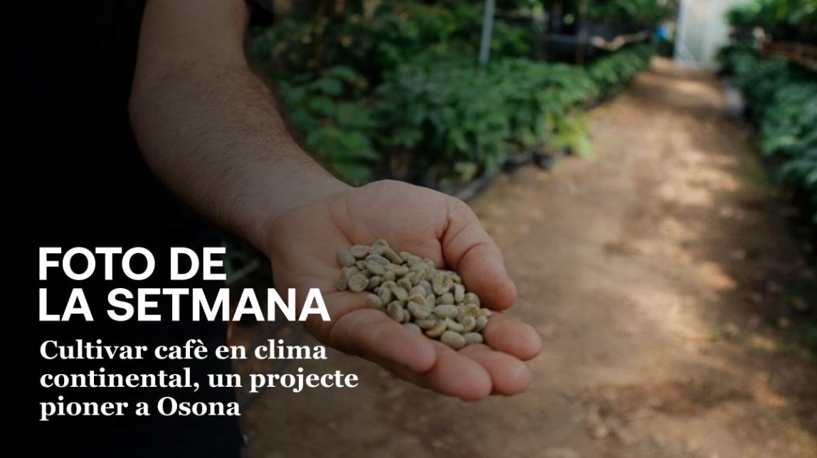 cafe osona foto setmana