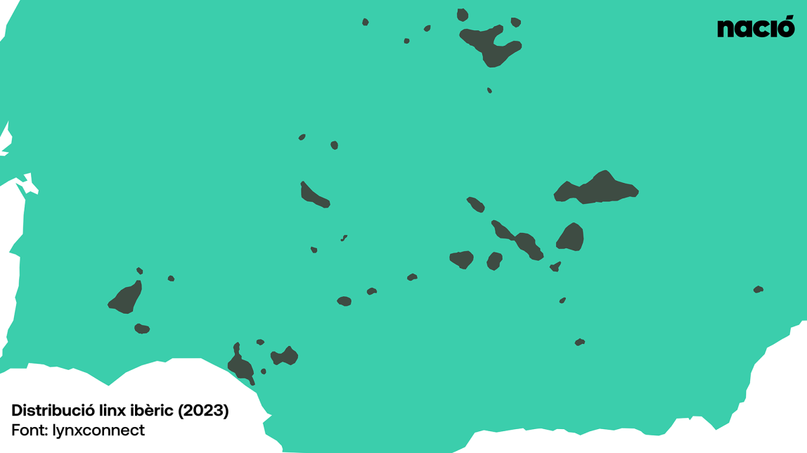 area distribucio linx iberic 2023