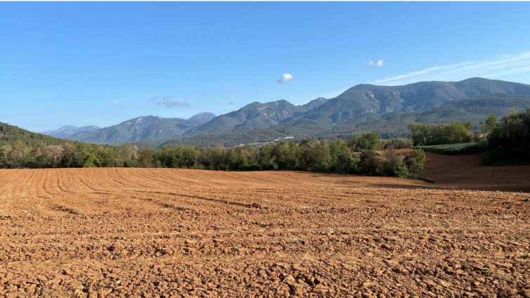 Imatge dels terrenys on es projecta la planta