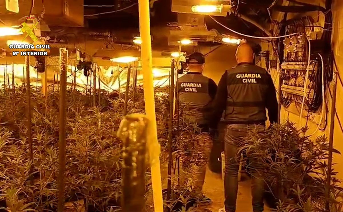 Grup de Guàrdia Civil amb la marihuana capturada