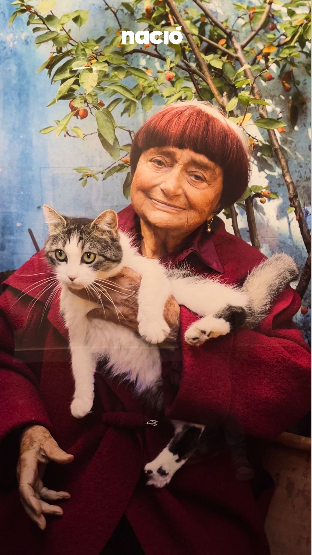 agnes varda2