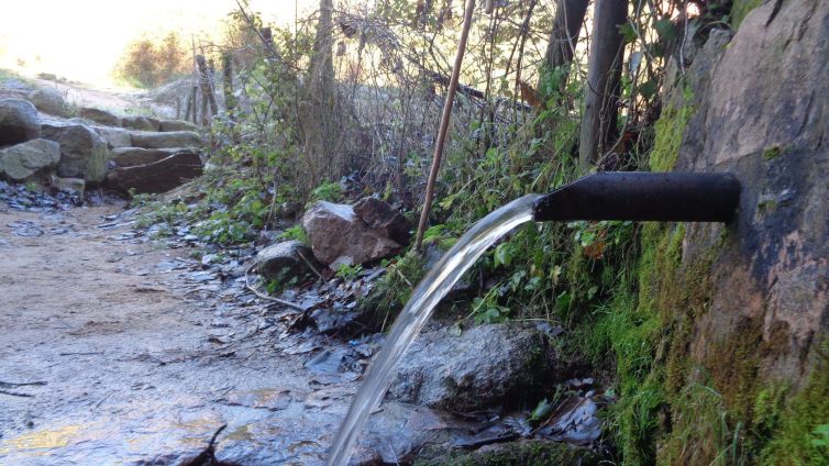 Viladrau està ple de fonts, i al llarg de la ruta n'anirem trobant Foto: Fonts del Montseny