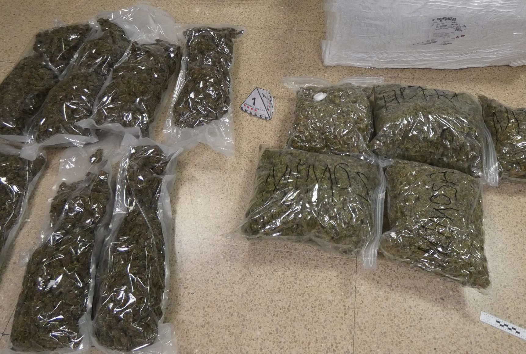 La marihuana intervinguda pels Mossos a Figueres