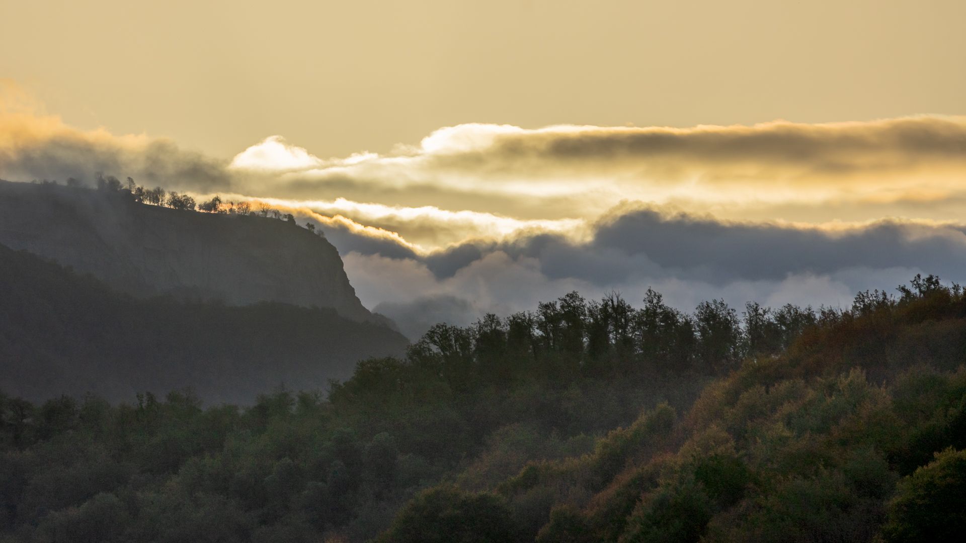 Temps de tardor