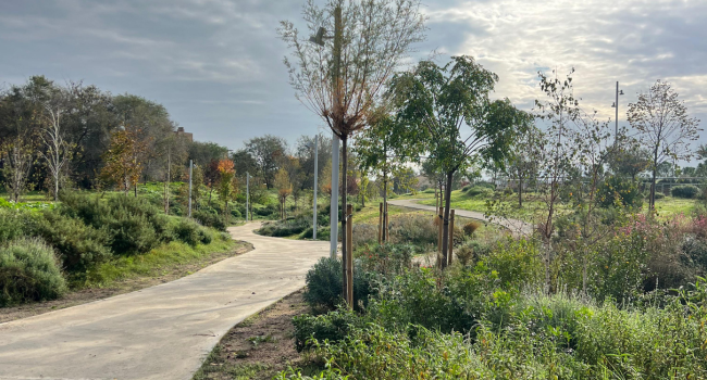 El nou Parc del Nord és un pulmó verd i una zona d'oci i descans per al veïnat del districte 3