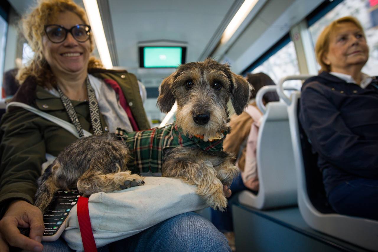 Viatgers del nou tramvia entre Glòries i Verdaguer, aquest matí