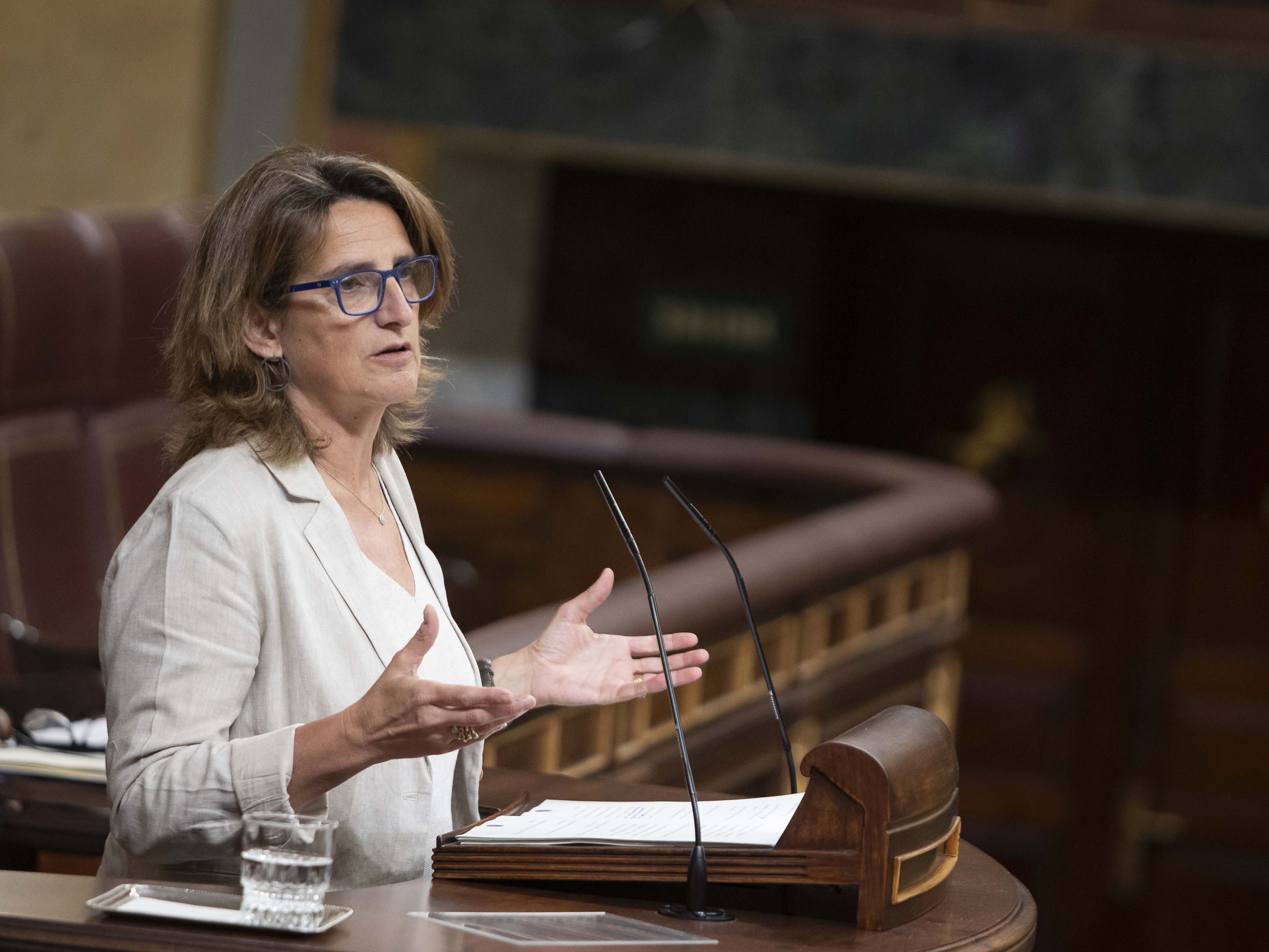 Teresa Ribera, aquest dimarts al Congrés dels Diputats