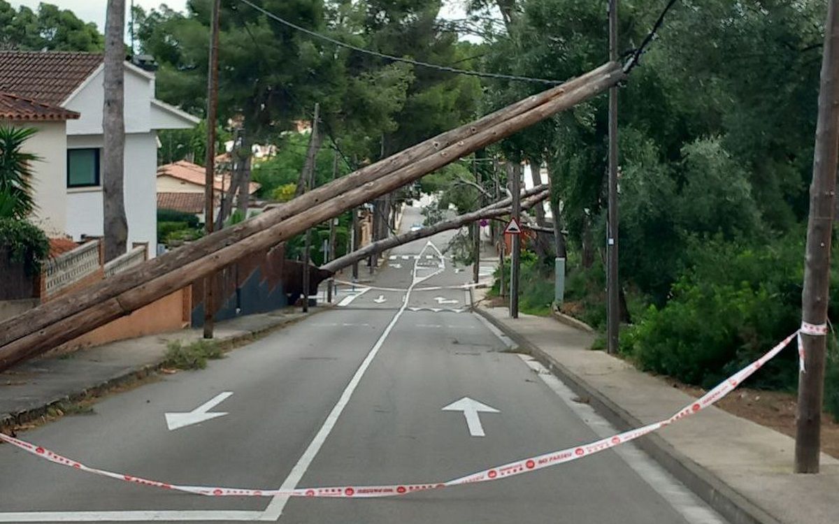 Arbres caiguts pel vent a Castelldefels