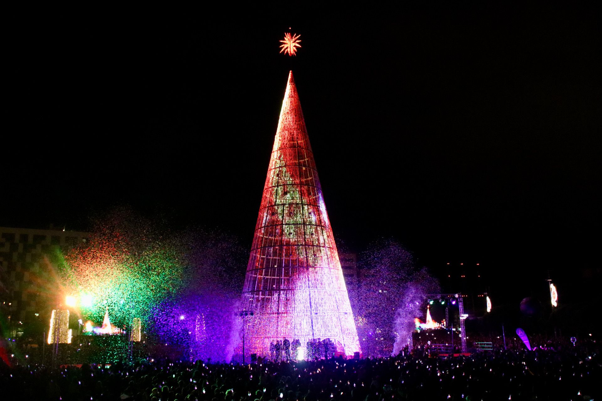 Imatge de l'arbre gegant de Badalona durant l'espectacle de llum i colors