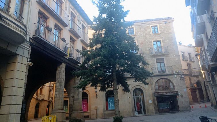 Arbre Nadal Solsona Ramon Estany