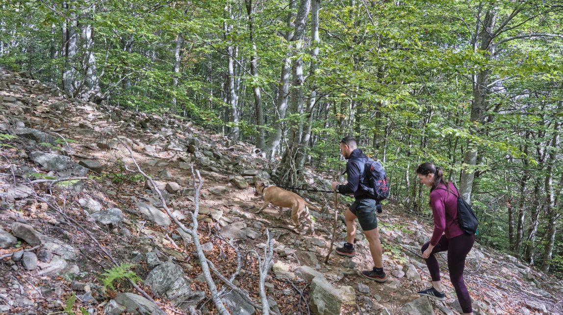 Una parella d'excursionistes amb un gos al parc natural del Montseny