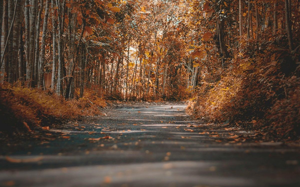 Un pas estret d'una carretera