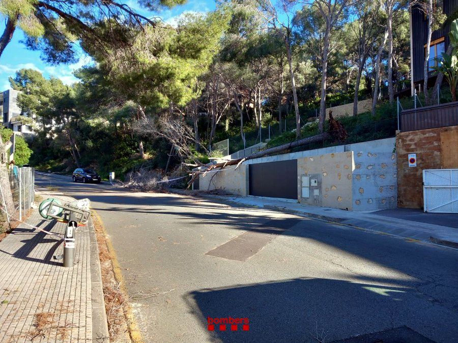 Un arbre caigut pel vent a la urbanització la Móra de Tarragona