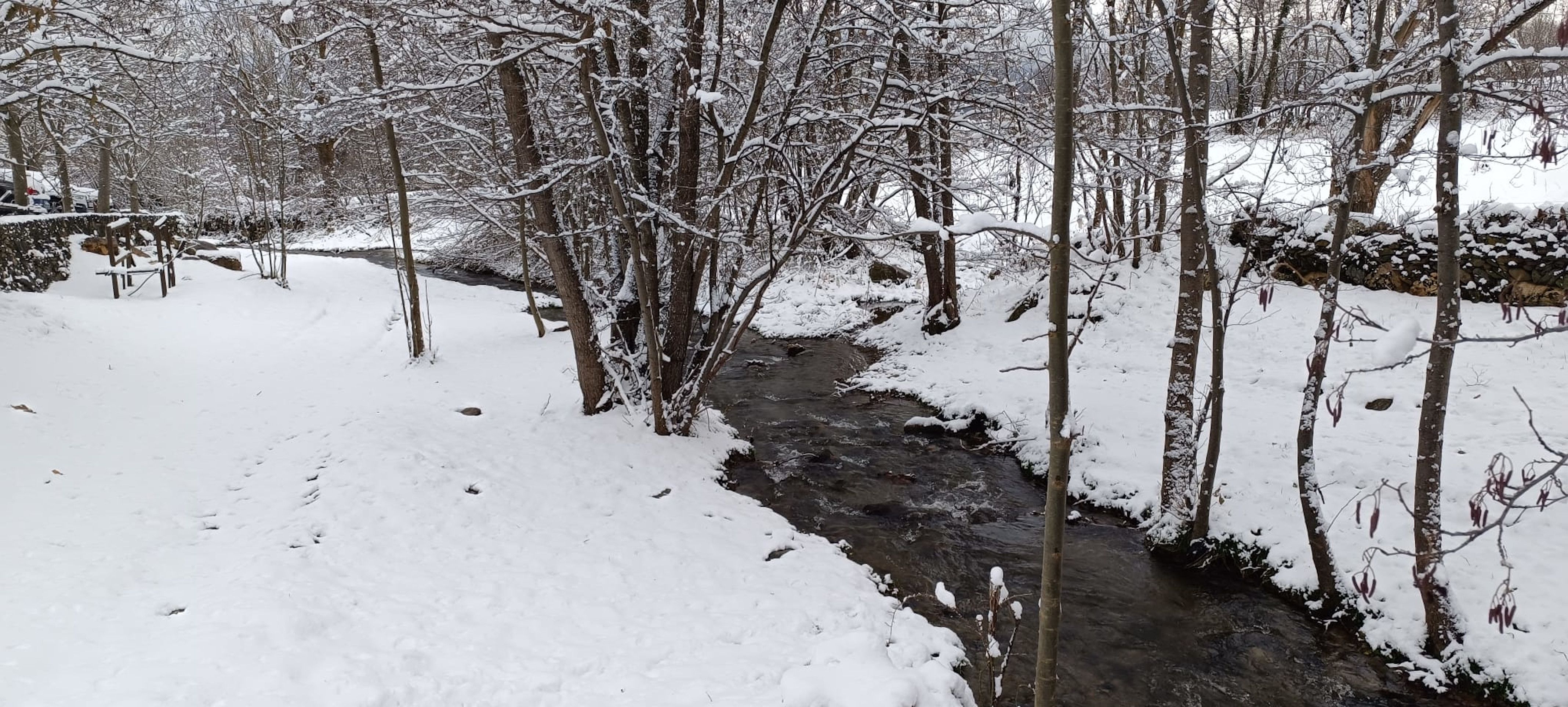 Paisatge a Ger completament nevat, a la Cerdanya