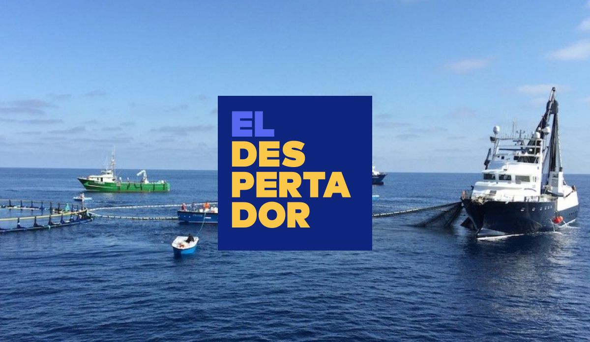 Vaixells pescant tonyina roja al Delta de l'Ebre