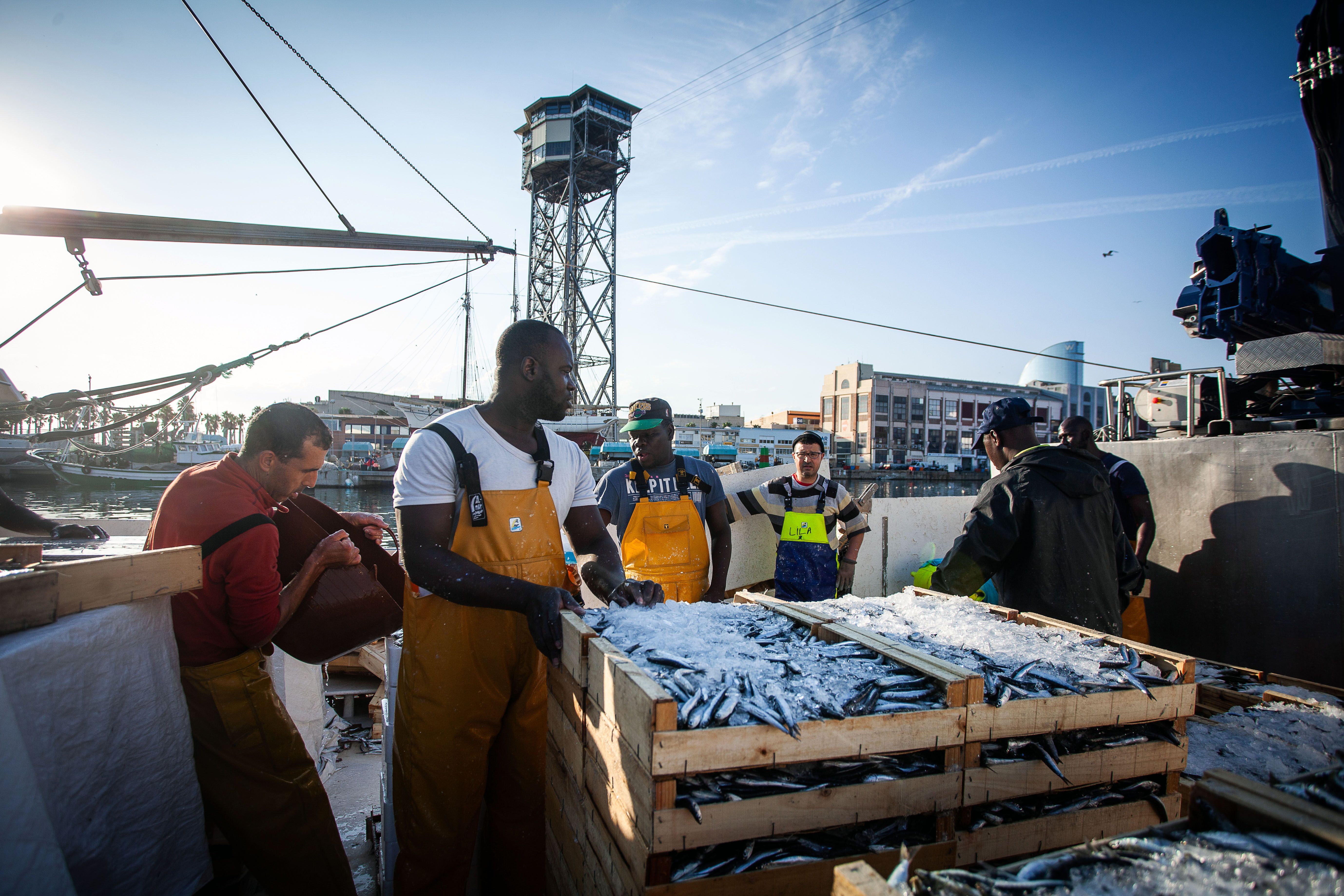 Una imatge de arxiu d'un vaixell de pesca entrant al port de Barcelona