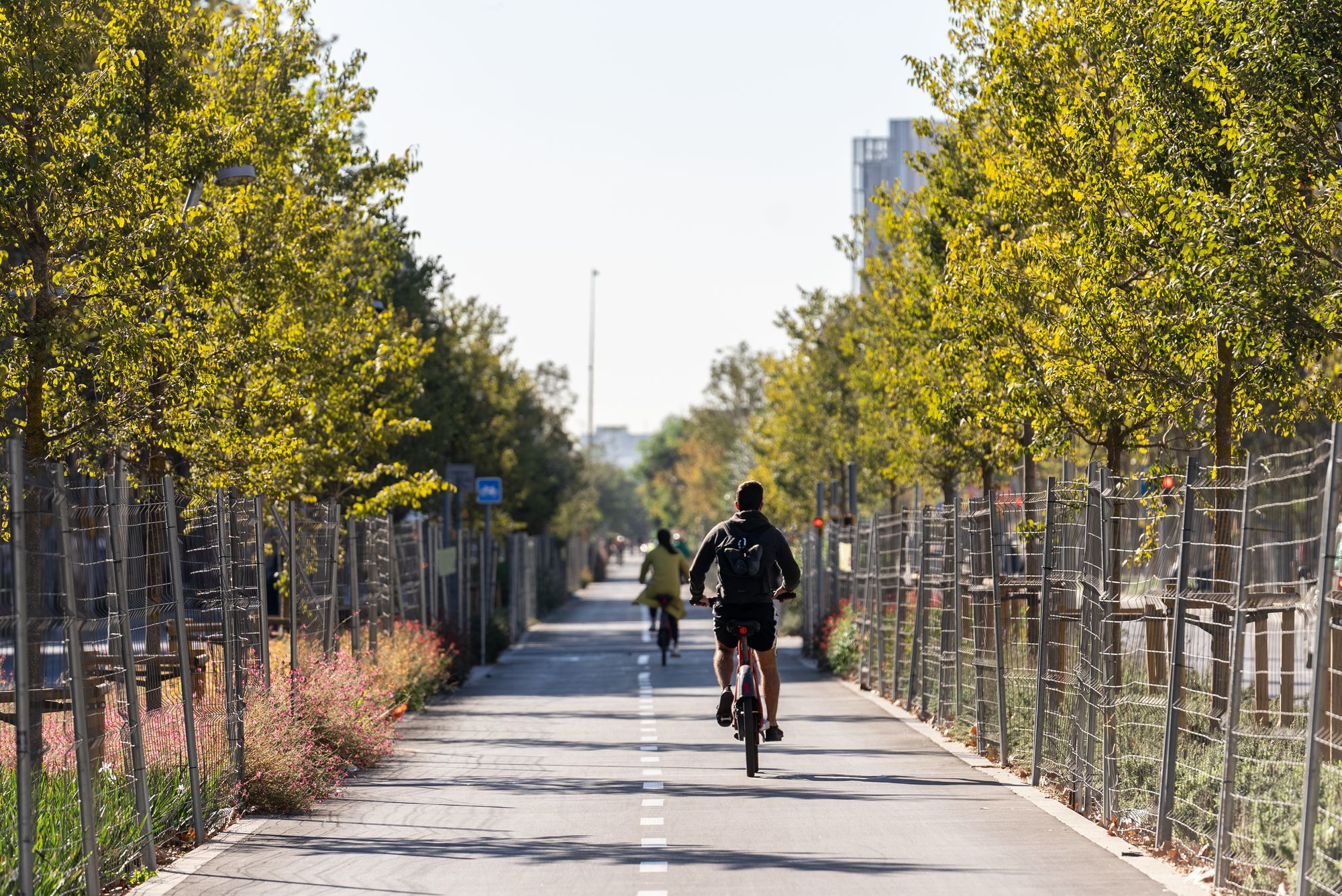 Un ciclista utilitza el carril bici de l'avinguda Meridiana.