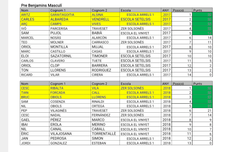 Classificació Cross Escolar 