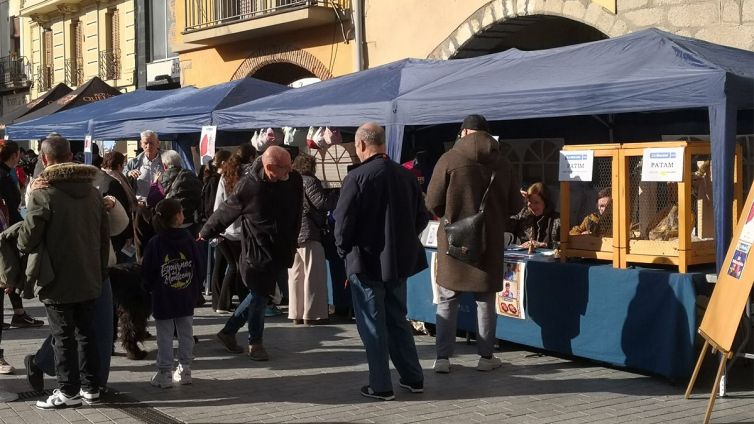 Un any més el Col·lectiu 08470 ha aglutinat a Sant Celoni les activitats solidàries per «La Marató» | Jordi Purtí