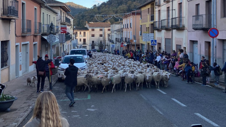 En Jordi travessant el poble amb el ramat per última vegada el passat divendres