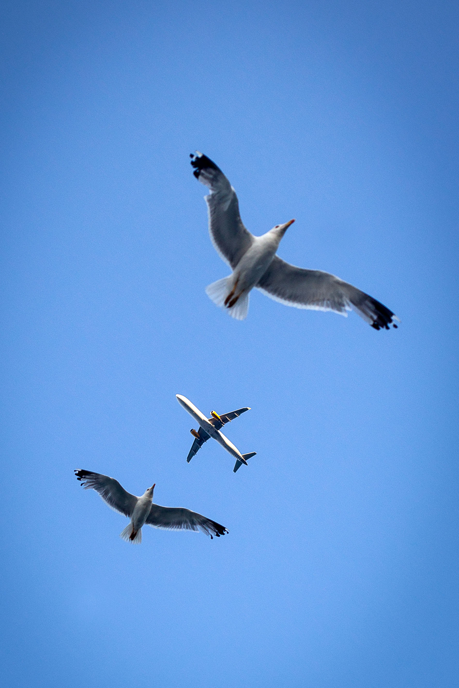 Un avió, en una imatge d'arxiu