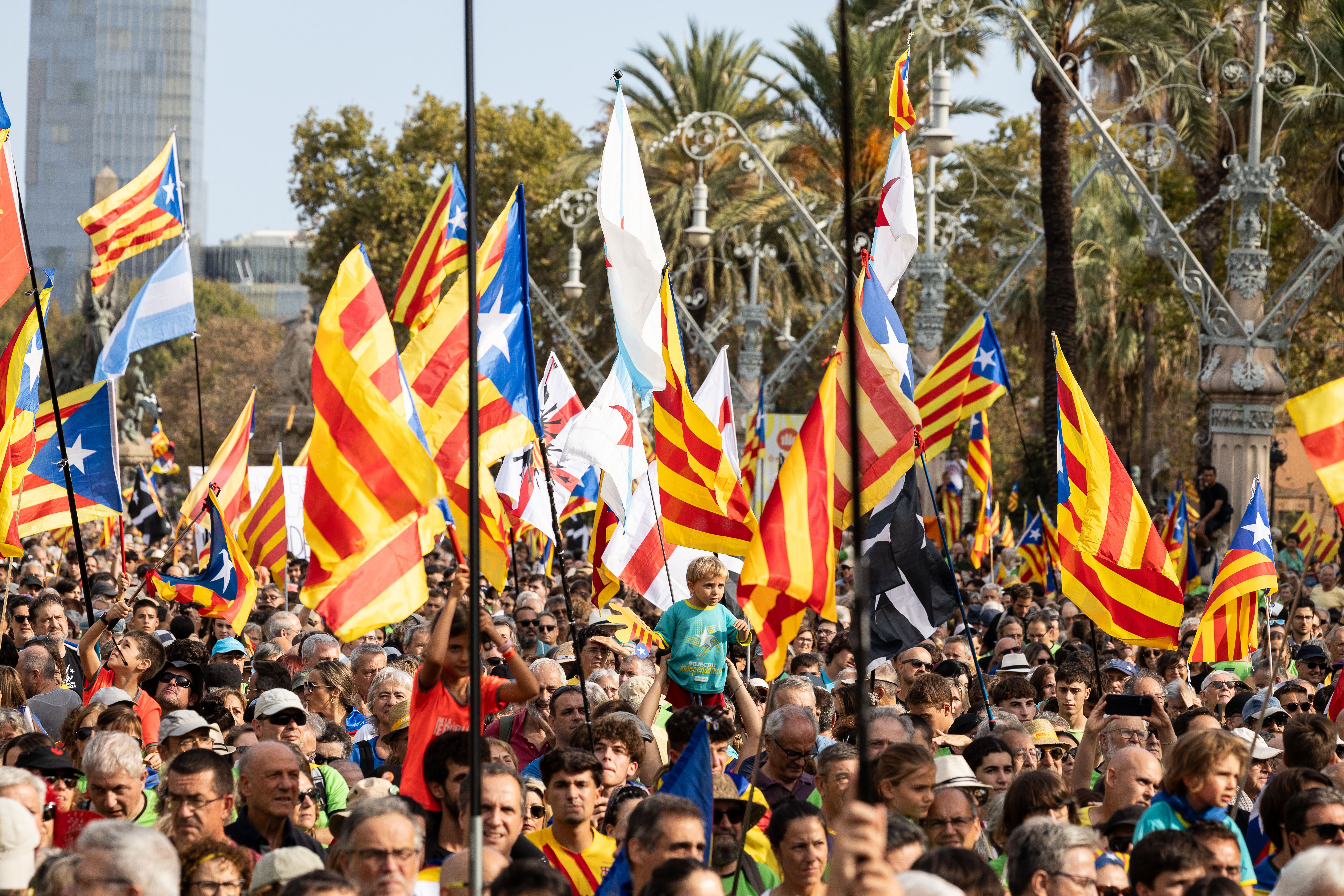 La manifestació de la Diada