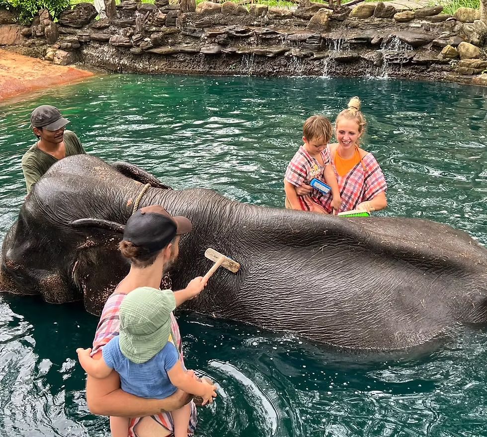 Un elefant del Koh Yao Elephant Care de Tailàndia