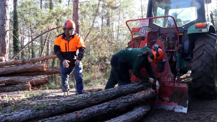 Els alumnes fent pràctiques al Bosc Escola del Solsonès Autor: Mar Martí