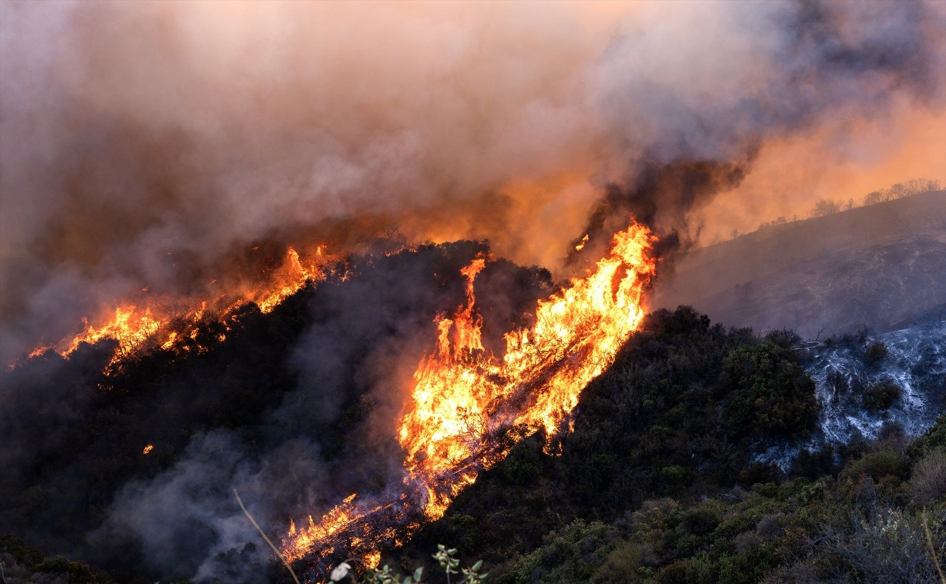 Els incendis de California afecten centenars de milers de persones