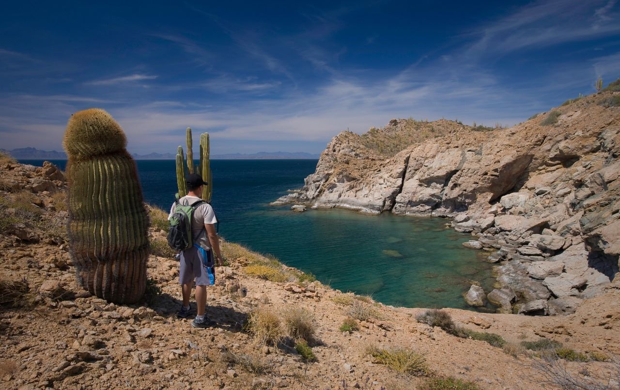 L'illa Catalana, al Golf de California, té milers d'espècies endèmiques que la fan un paradís de flora i fauna