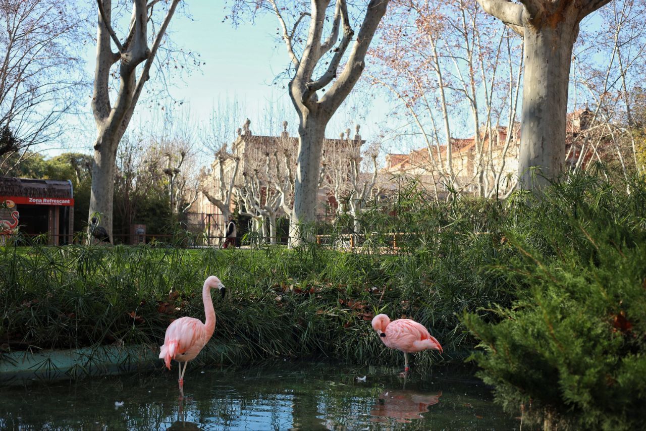 Punt de la Ciutadella on es farà el passeig que unirà el Born i la Vila Olímpica