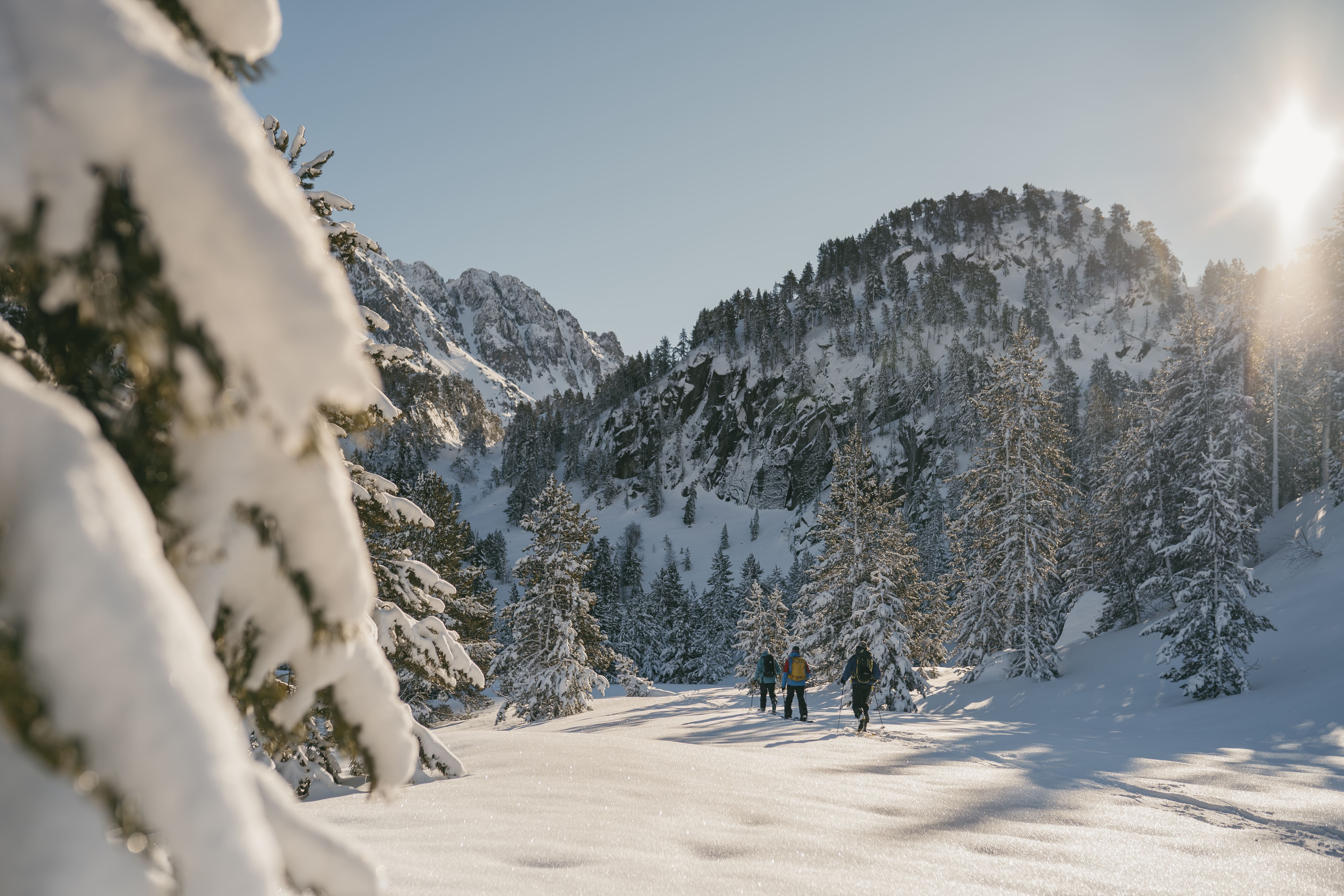 Endinsar-se al Coll de Caldes és com entrar dins un conte d'hivern